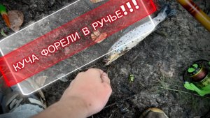 ПОЛНЫЙ РУЧЕЙ ФОРЕЛИ!!! ШОК РЫБАЛКА | РЫБАЛКА 10 RU