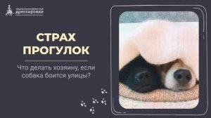 Страх прогулок| Запись прямого эфира