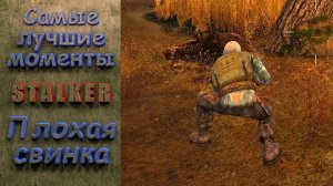 Плохая свинья. Stalker. Самые лучшие моменты. #stalker