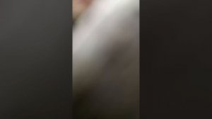 1000050827.mp4