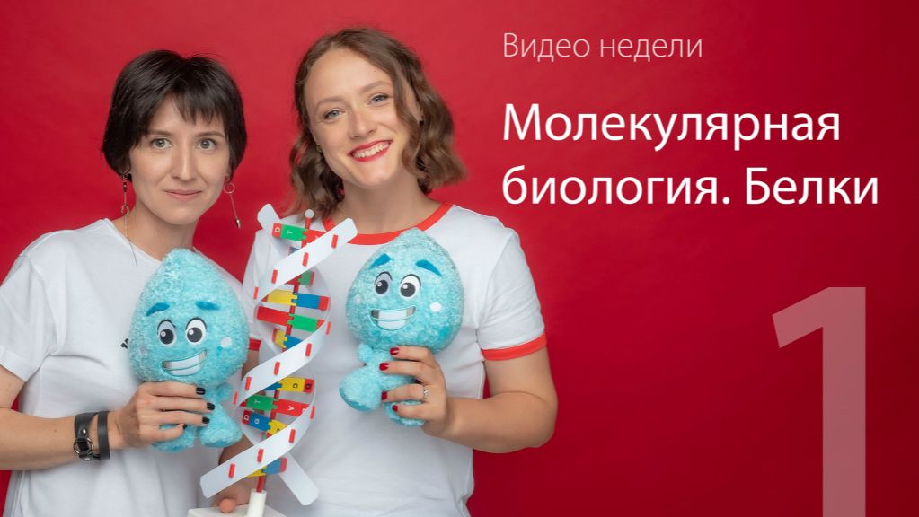 01. Белки. Молекулярная биология | ЕГЭ-2025 по биологии