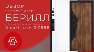 Стальная дверь Берилл с умным замком Smart lock dz888