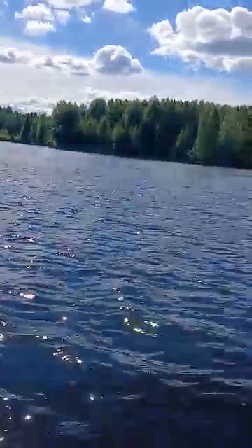 #Пора домой