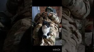 Солдат и кот.