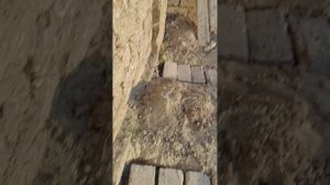 Фундамент под тумбы и вольеры готов