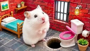 ЭЛИТНЫЙ ПОБЕГ ПУШИСТИКА! 🐹 Хомячок против ловушек в лабиринте