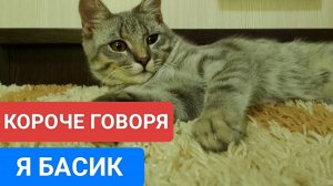 КОРОЧЕ ГОВОРЯ Я БАСИК