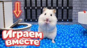 Хомячок проходит лабиринт - ИГРУШЕЧНАЯ тюрьма для хомяка ! Приключения хомяка для детей