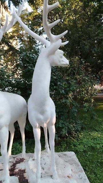🦌