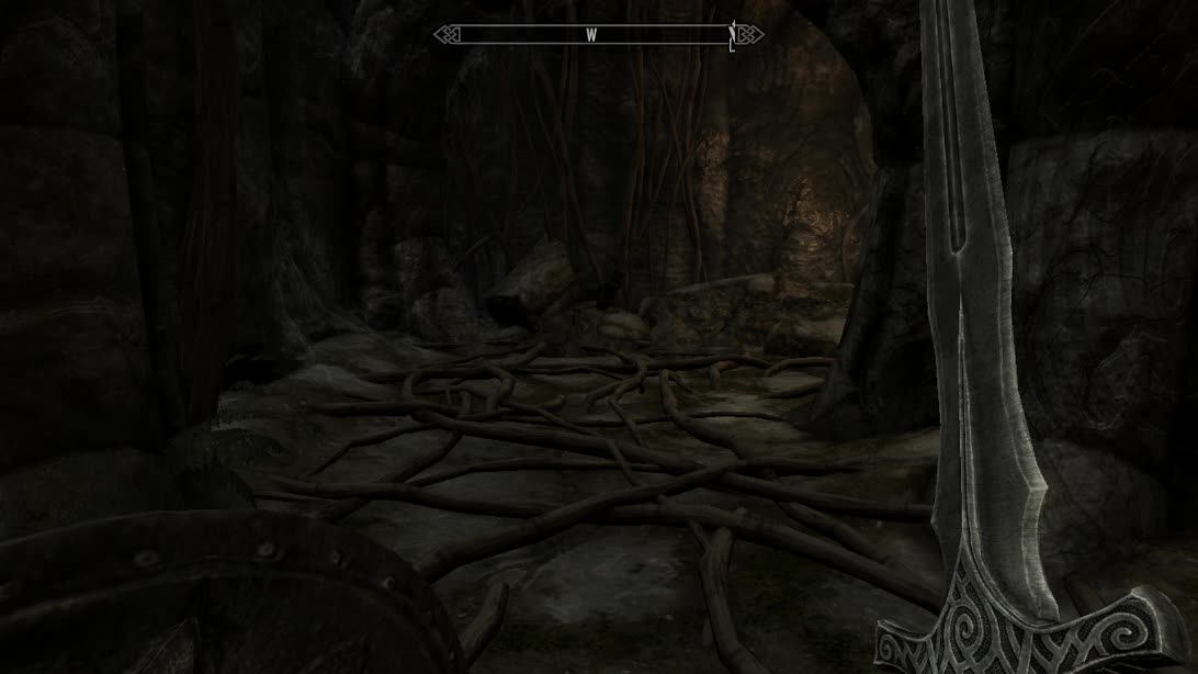 The Elder Scrolls V: Skyrim