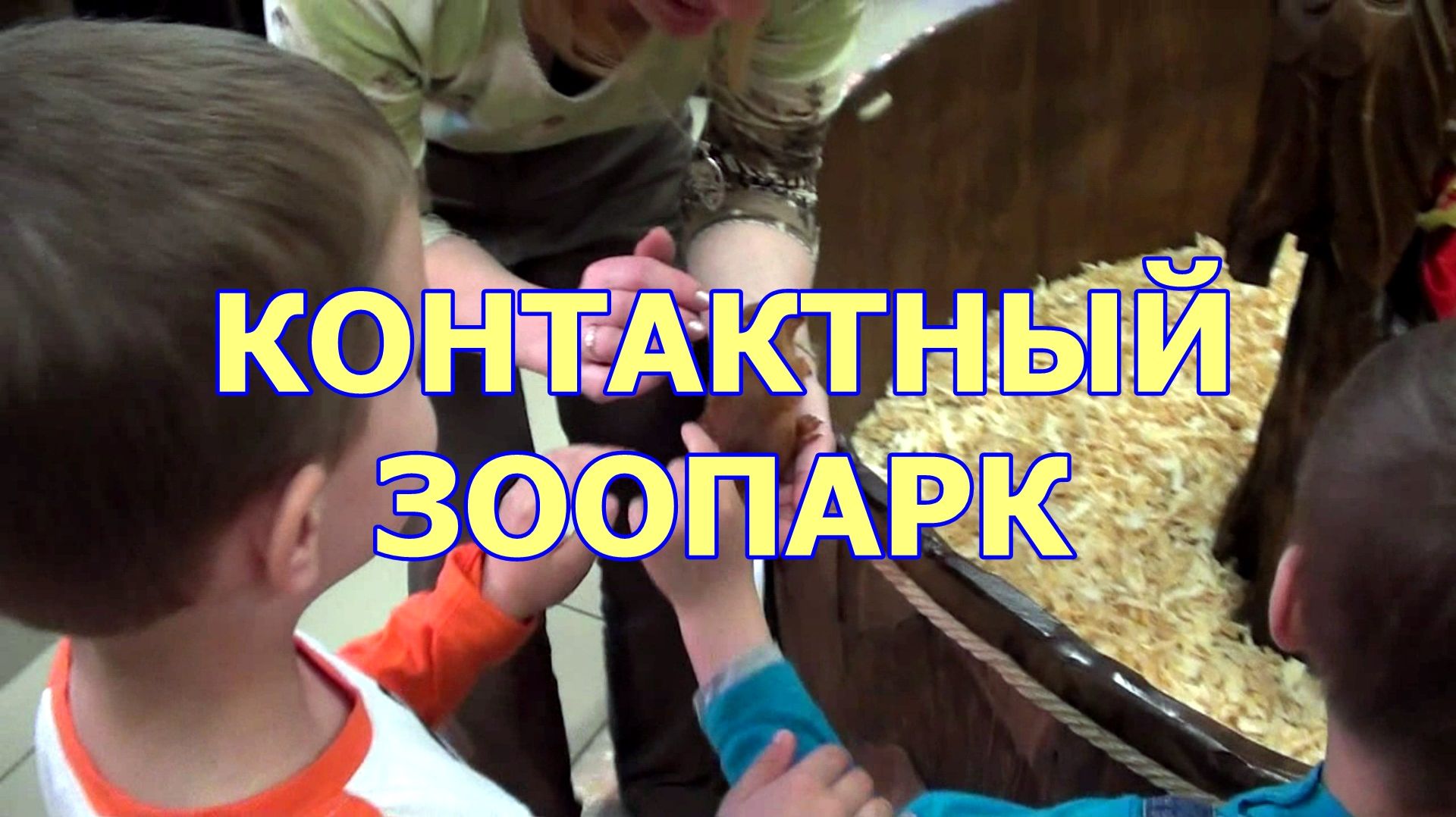 Контактный зоопарк ТРЦ Арена Куда сходить в Барнауле