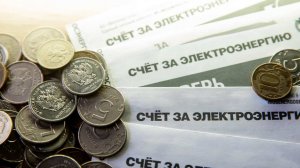 В Совфеде призвали упростить получение льгот на ЖКУ