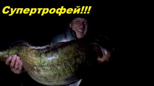 Супертрофей!!! Когда клюет судак. Где крупная щука.