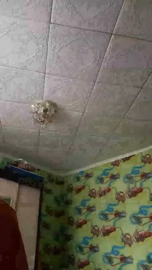стрим
