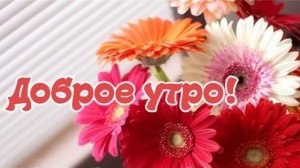 Доброе утро воскресенья! Шикарная музыкальная открытка.