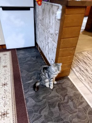 делаю маску