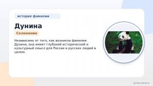 Фамилия Дунина: происхождение, значение и склонение