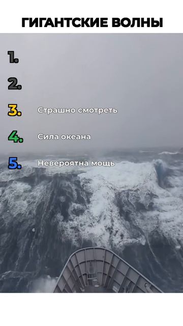 ТОП ВОЛН