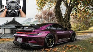 Forza Horizon 6 | Porsche 911 GT3