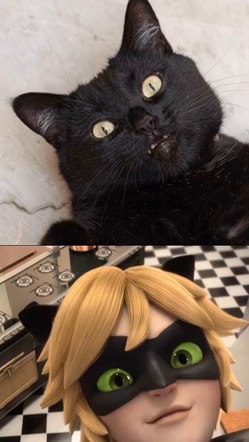 ахааахахахахаахахахааахахахахах