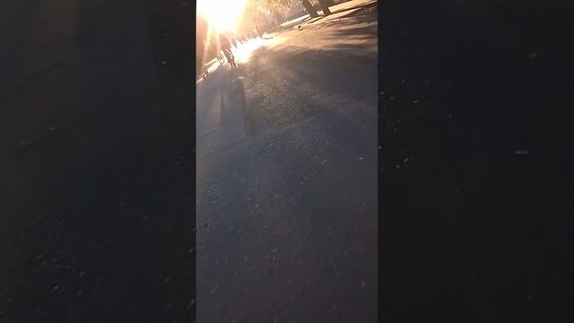 До Велопорада, сам Велопорад и после велопорада