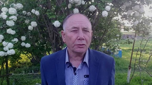 Почему инструменты Безлогичного Метода могут не давать результата_Станислав Лосев