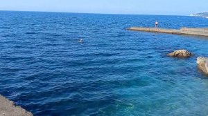 После БЭКапа на ялтинских пляжах паники нет