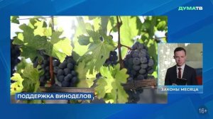 Государственная Дума - Главные события и решения недели, 9 августа 2026 года