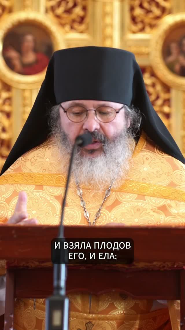 О ИСТИНЕ И МАЛОВЕРИИ | ИЕРОМОНАХ НИКОН | ВАЛААМСКИЙ МОНАСТЫРЬ #вера #проповедь #православие