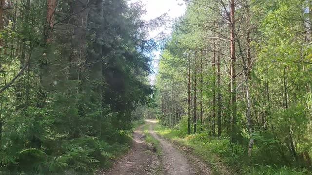 Нива Тревел 1.8 немного бездорожья ,поговорим как она в эксплуатации.