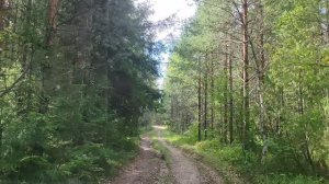 Нива Тревел 1.8 немного бездорожья ,поговорим как она в эксплуатации.