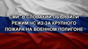 СМИ: в Словакии объявили режим ЧС из-за крупного пожара на военном полигоне