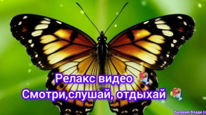 Релакс видео 💐 Смотри, слушай, отдыхай 💐
