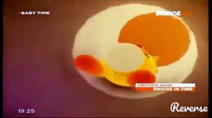 titou le papin 3 reverse