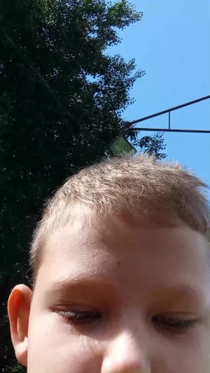 банный лес