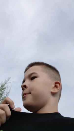 Шилофка