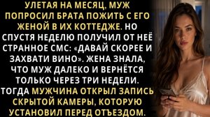Истории из жизни/Муж попросил брата пожить с его женой, улетая в командировку/Аудиорассказы жизненны