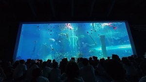 Аквариум - Mermaid Show, Poseidon Underwater World, Харбин, Китай, 16 июля 2026.
