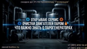 Открываю сервис очистки двигателей паром