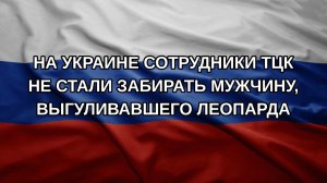 На Украине сотрудники ТЦК не стали забирать мужчину, выгуливавшего леопарда