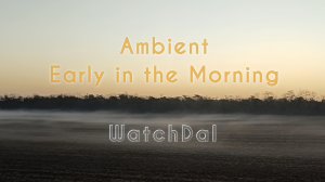 WatchDal – Ambient Early in the Morning (video)