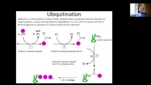 Lecture 4 mRNA Translation and Protein biosynthesis Part 4 Posttranslational modifications