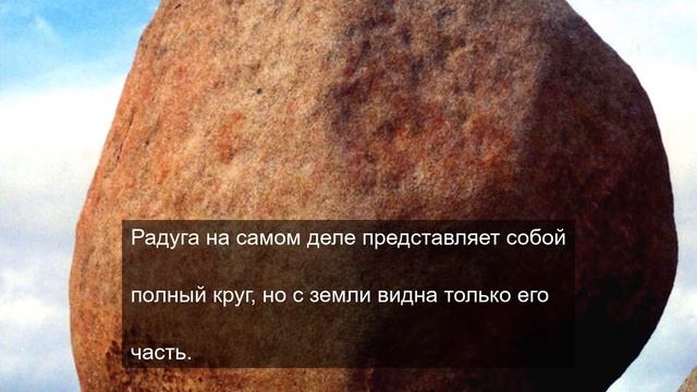 Жизненный путь тяжелого цветка 2