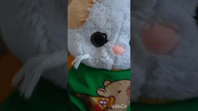 басики и неизвестный призрак.