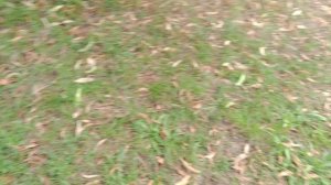 1000035796.mp4