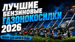 Лучшие бензиновые газонокосилки 2026: выбор для дачи и сада