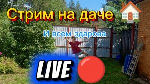 «Стрим на даче: просто дышу воздухом и болтаю с вами»