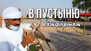 Гонки по пустыне на Land cruiser 200