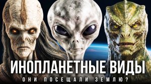 👽 Расы пришельцев 2026: шокирующая правда, которую вы не должны были узнать