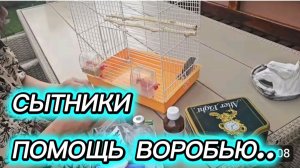 САМВЕЛ АДАМЯН, СЫТНИКИ, ПОМОЩЬ ВОРОБЬЮ..